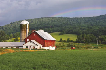 Farm Insurance